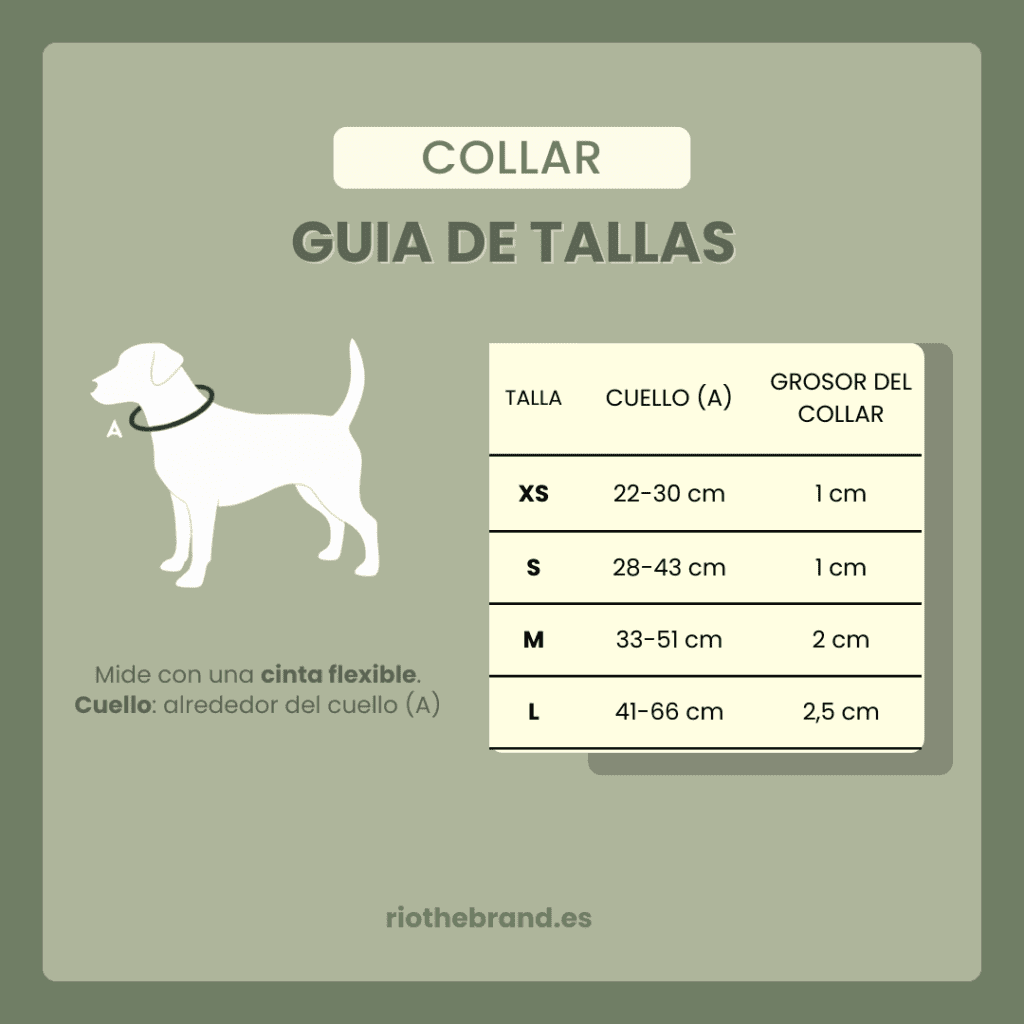 ACTUALIZADA GUIA TALLAS COLLAR RIO THE BRAND