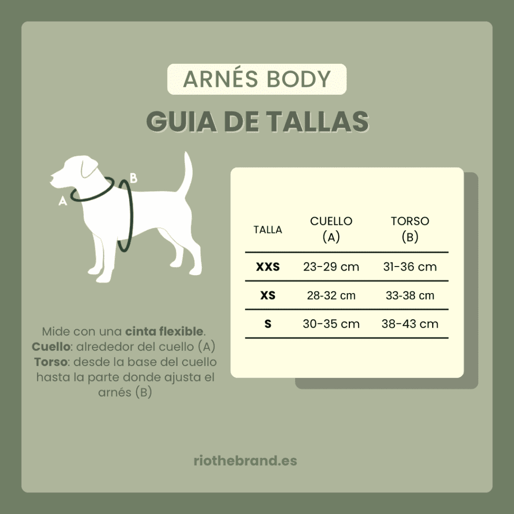 ACTUALIZADA GUIA TALLAS ARNES BODY RIO THE BRAND