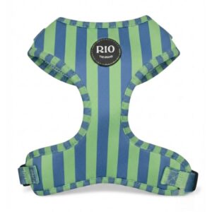 Arnes rio rayas 1