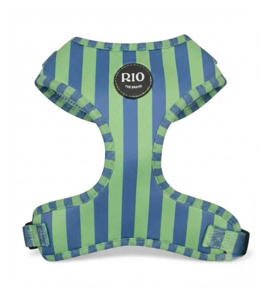 Arnes rio rayas 1