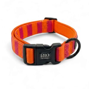 Collar miami rayas 1