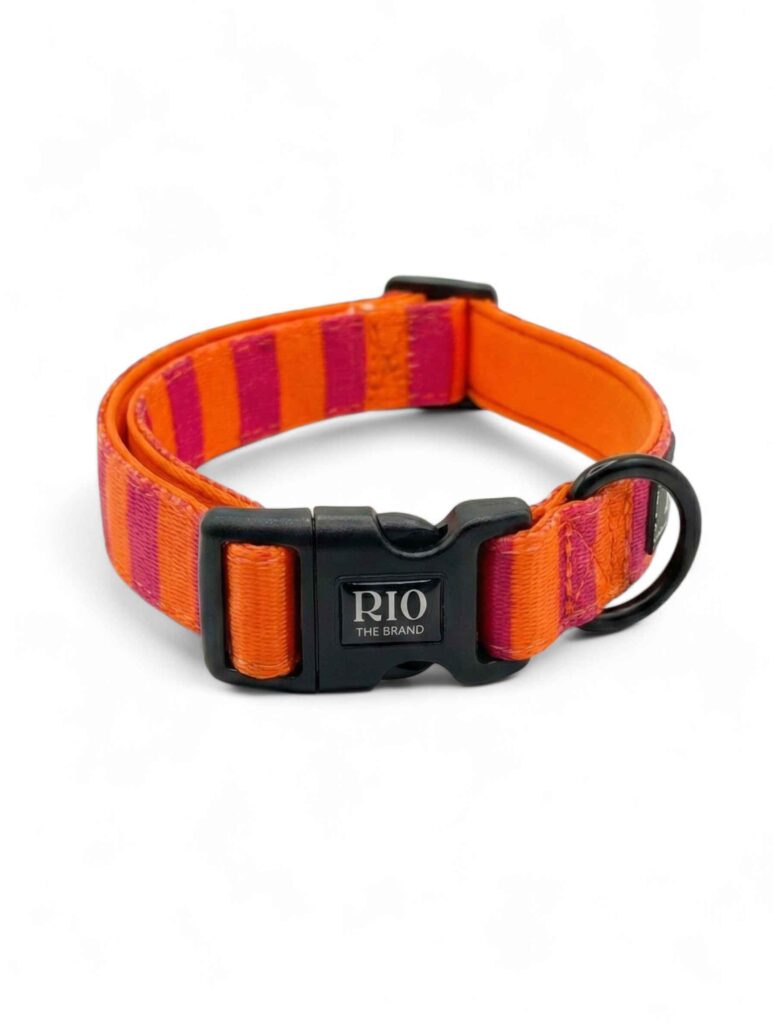 Collar miami rayas 1