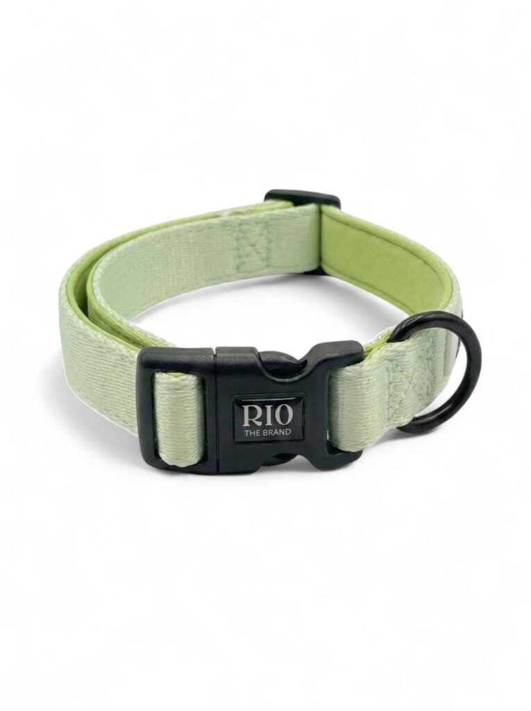 Collar bali 1
