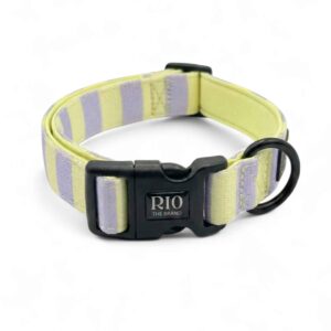 Collar tokio rayas 1