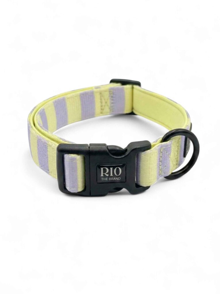 Collar tokio rayas 1