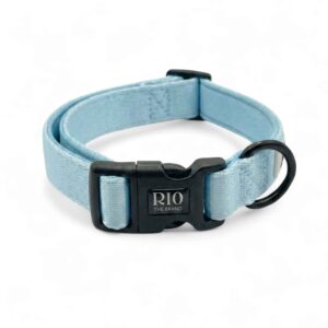 Collar oslo 1
