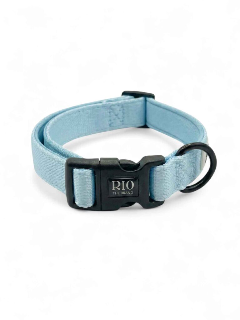 Collar oslo 1