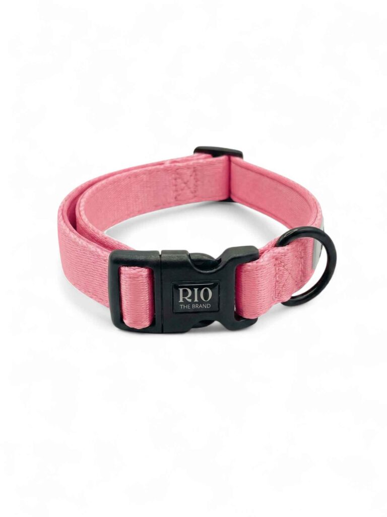 Collar paris 1