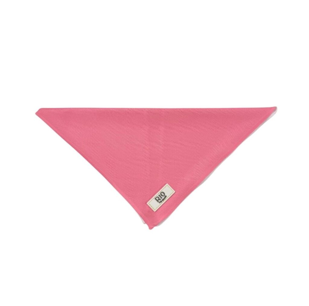 Bandana paris 1