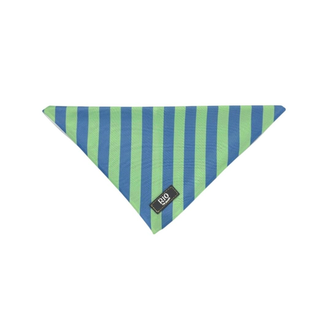 Bandana rio rayas 1