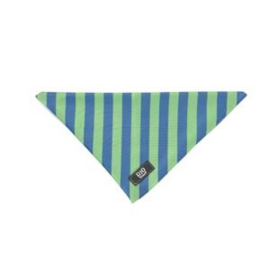 Bandana rio rayas 1