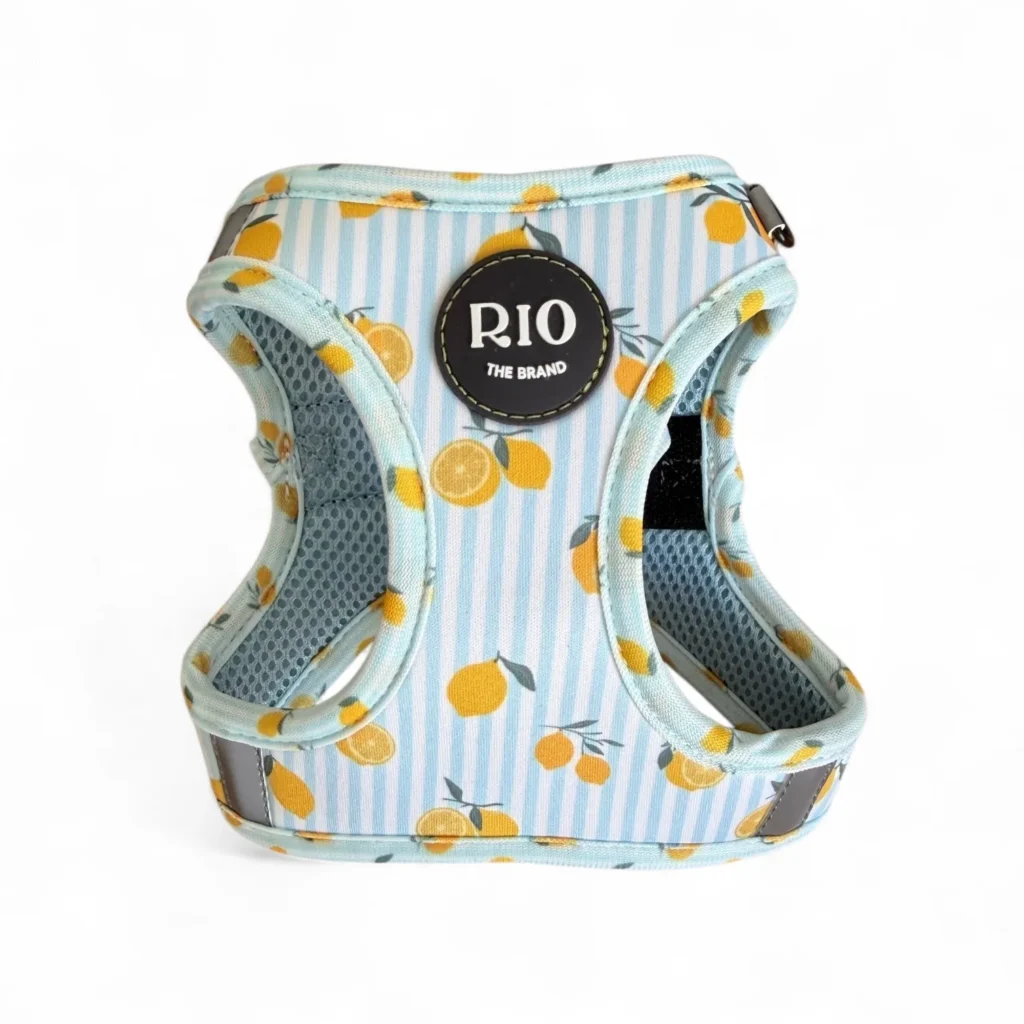 ARNES BODY AMALFI LEMON (2)