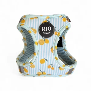 ARNES BODY AMALFI LEMON (2)