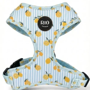 Arnes Amalfi Lemon Ajustable (1)