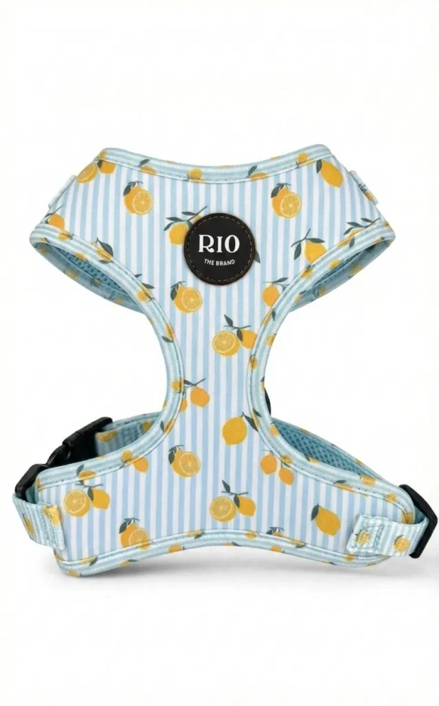 Arnes Amalfi Lemon Ajustable (1)