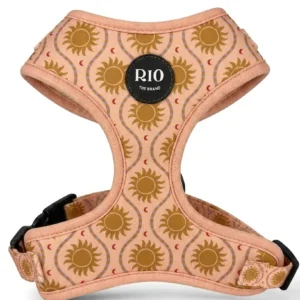 Arnes Ibiza soles Ajustables (1)