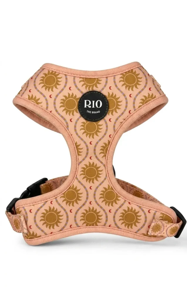 Arnes Ibiza soles Ajustables (1)