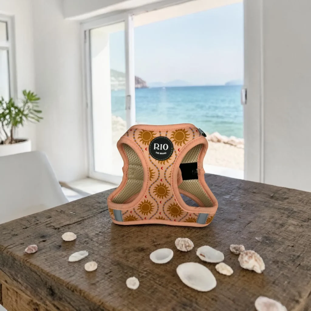 Arnes body Ibiza sun (4)
