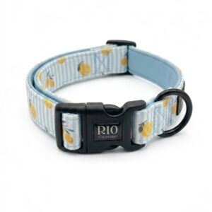 Collar Amalfi Limon