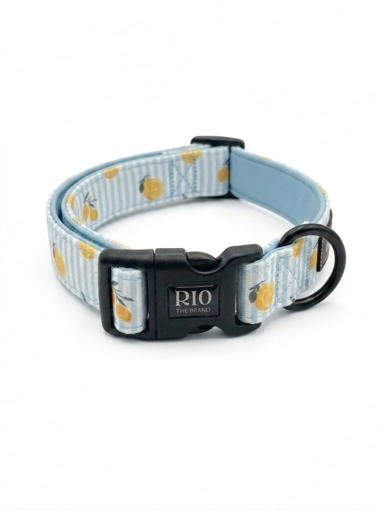 Collar Amalfi Limon