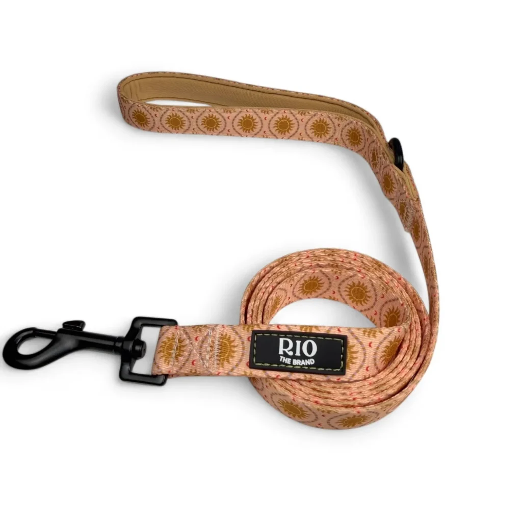 Correas Ibiza Sol (5)